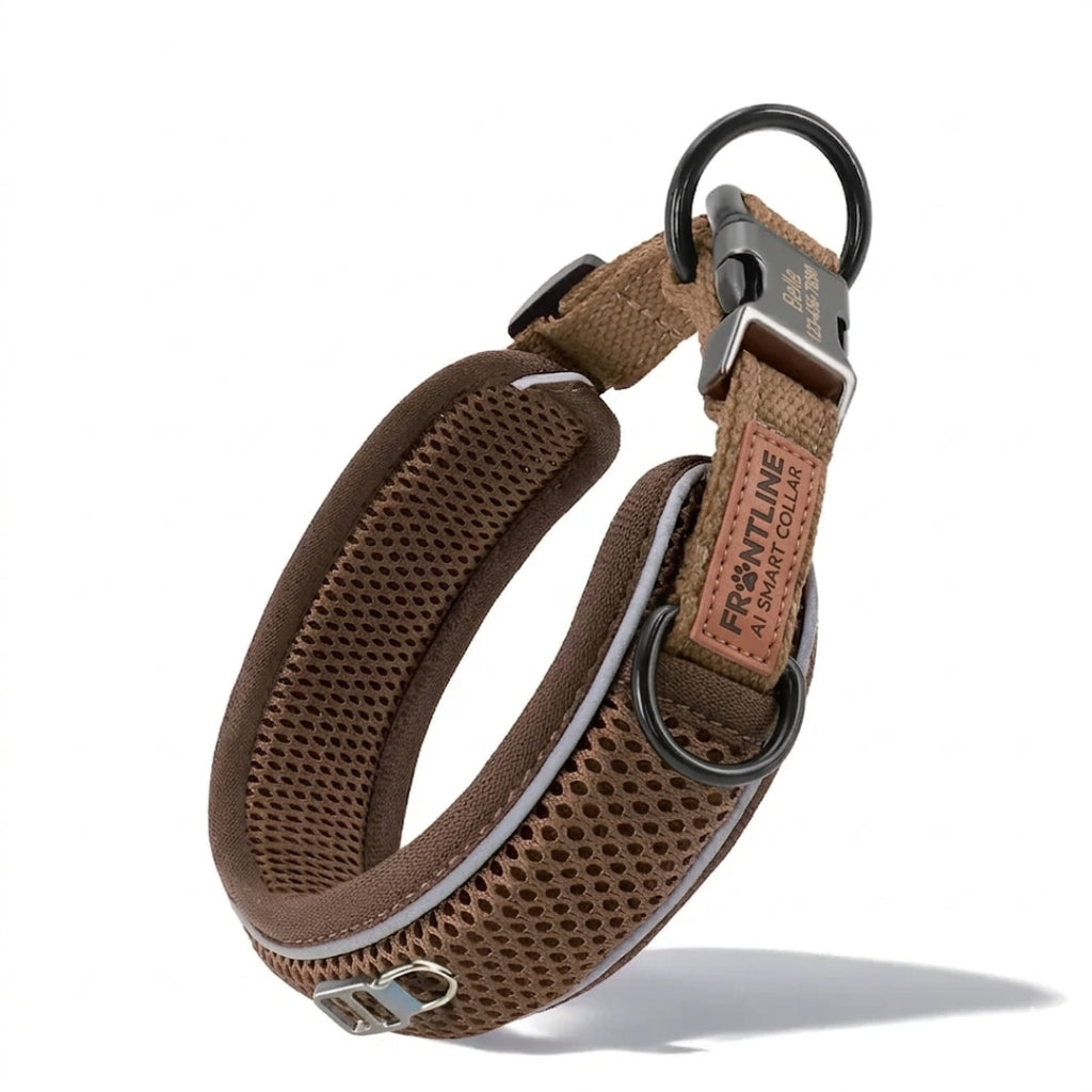 Custom Engraved Reflective Mesh Collar
