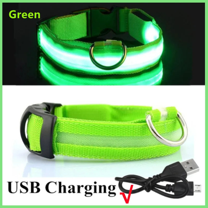 USB Rechargeable LED Safety Collar