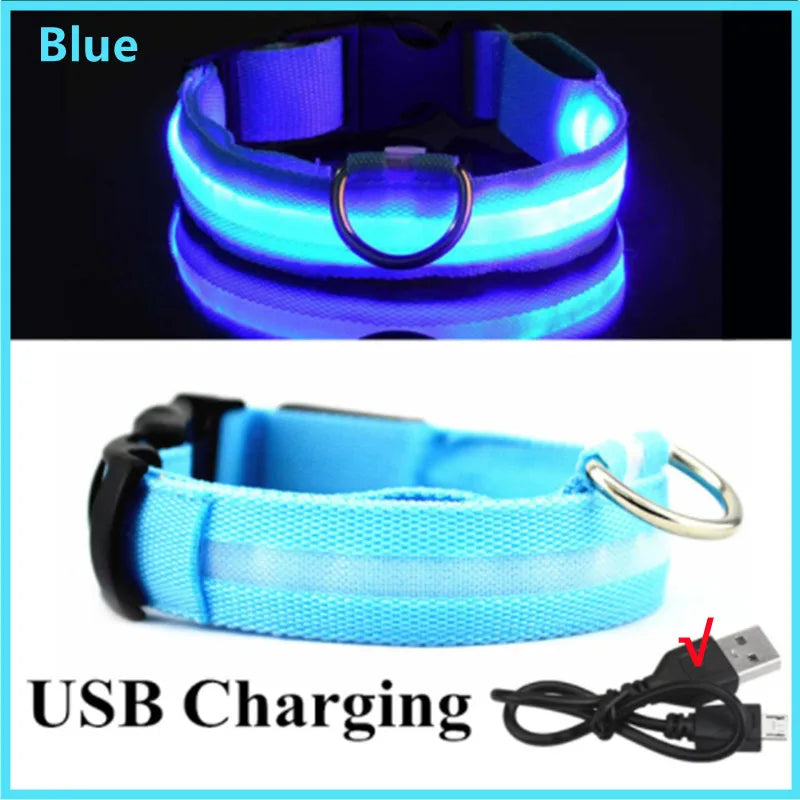 USB Rechargeable LED Safety Collar