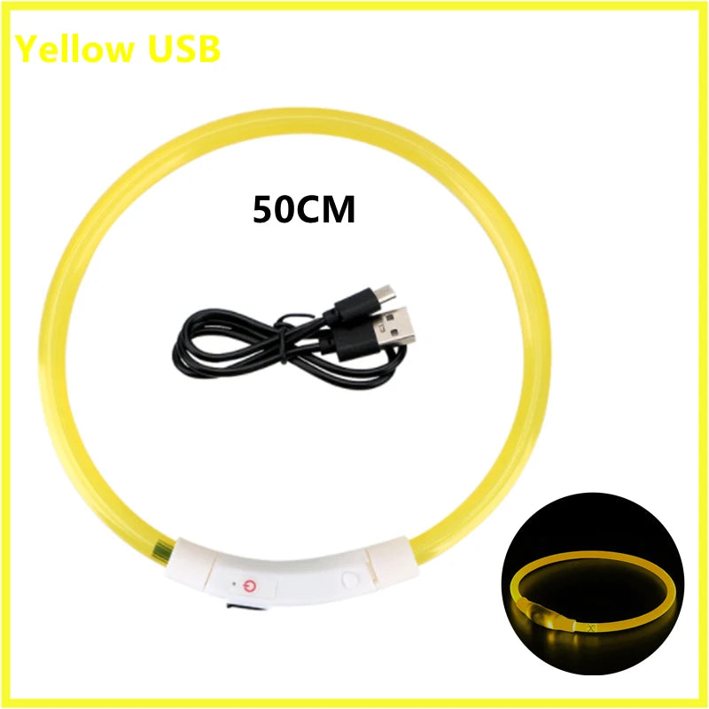 USB Rechargeable LED Safety Collar