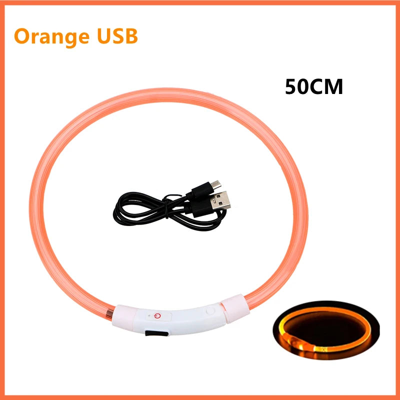 USB Rechargeable LED Safety Collar