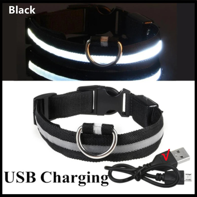 USB Rechargeable LED Safety Collar