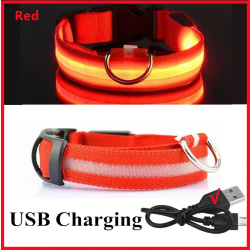 USB Rechargeable LED Safety Collar