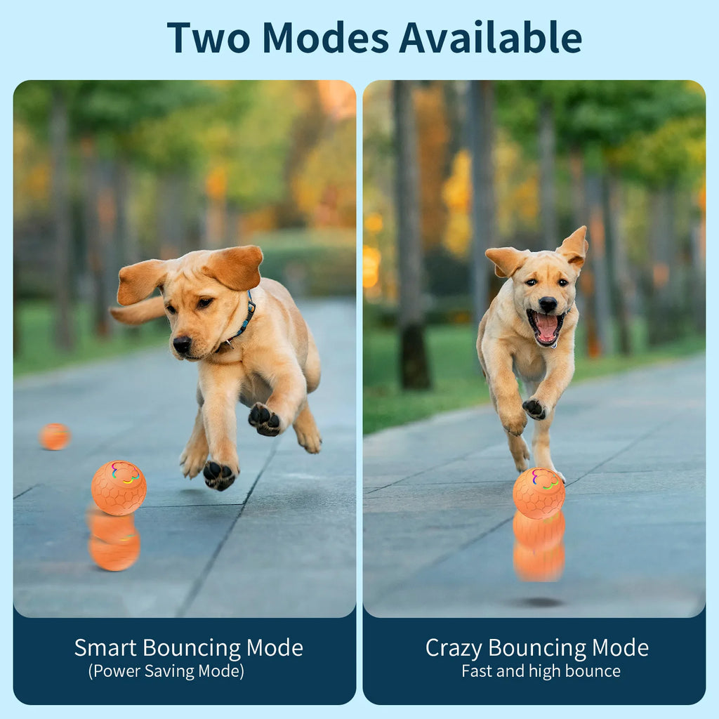 Smart Dog Toy Ball Electronic Interactive Pet Toy Ball USB Automatic Bouncing Rolling Toy Ball With RGB Lights Puppy Cat Product