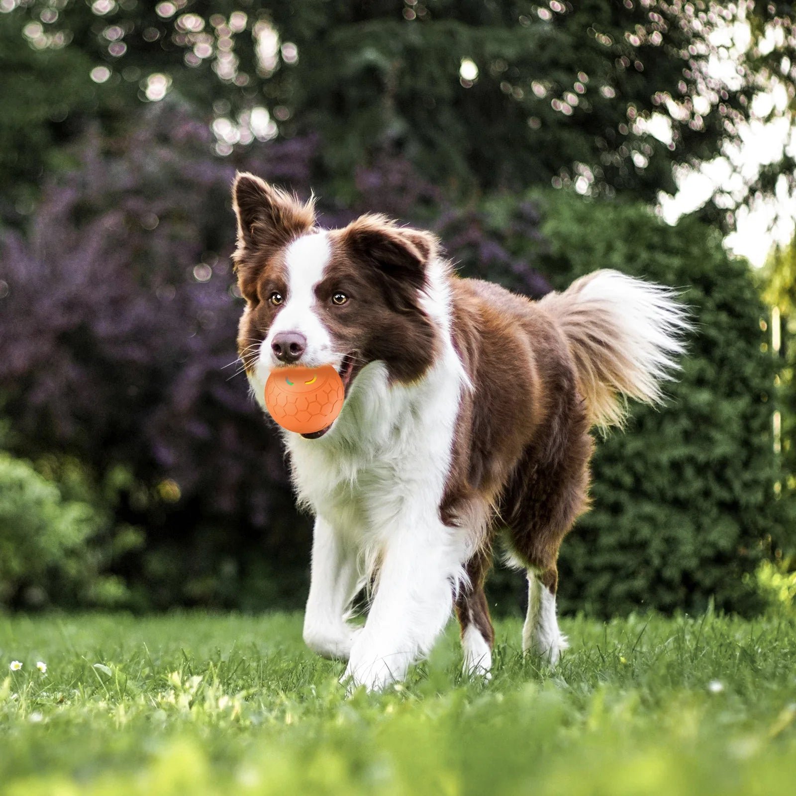 Smart Dog Toy Ball Electronic Interactive Pet Toy Ball USB Automatic Bouncing Rolling Toy Ball With RGB Lights Puppy Cat Product