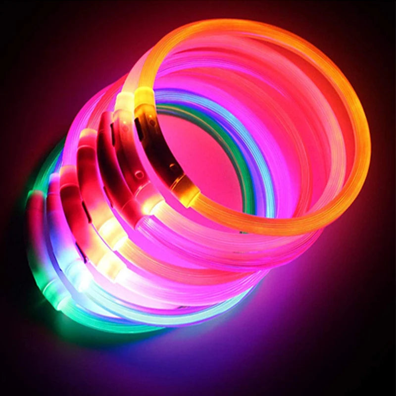 USB Rechargeable LED Safety Collar