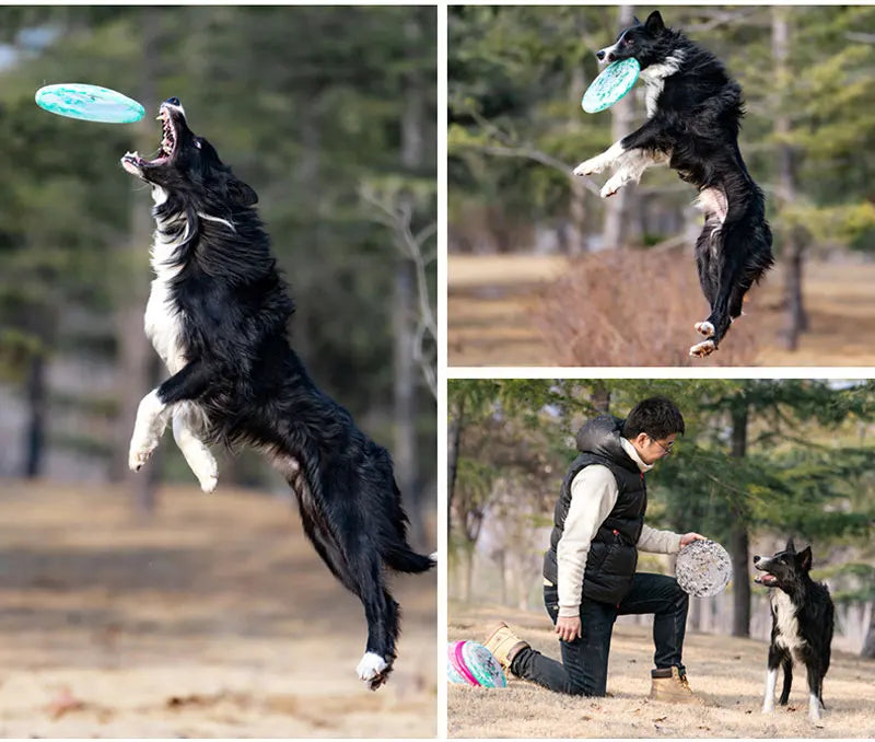 Pet Dog Silicone Game Flying Saucer Dog Toy Flying Discs Trainning Interactive Type Toy Bite Resistant Dog Relieve Pet Supplies