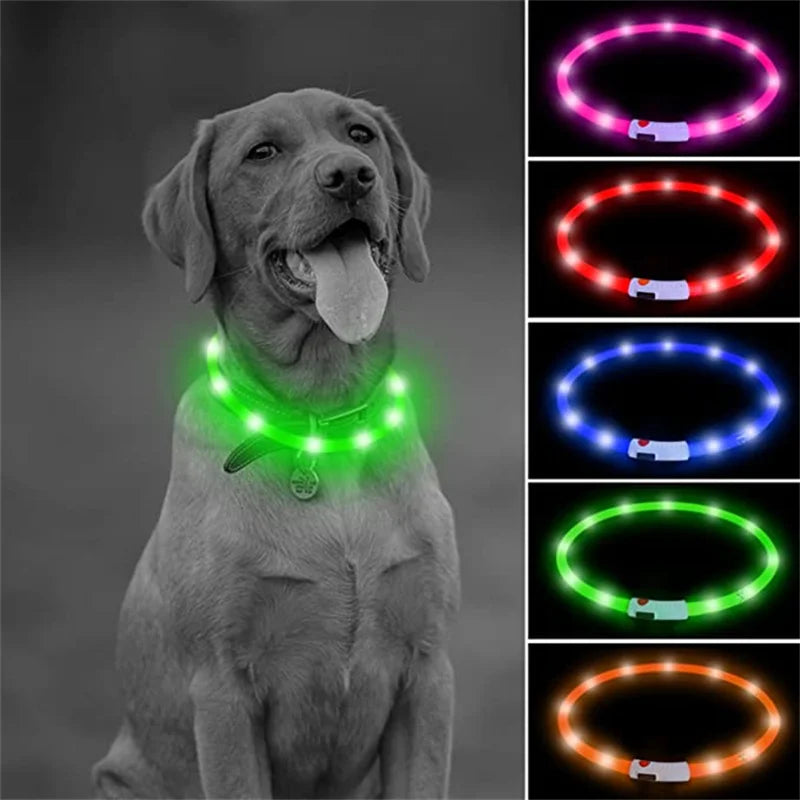 USB Rechargeable LED Safety Collar