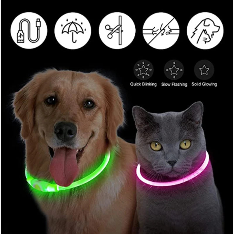 USB Rechargeable LED Safety Collar