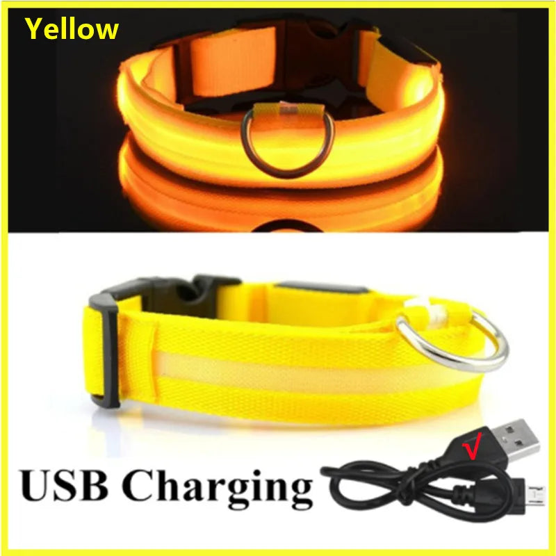 USB Rechargeable LED Safety Collar