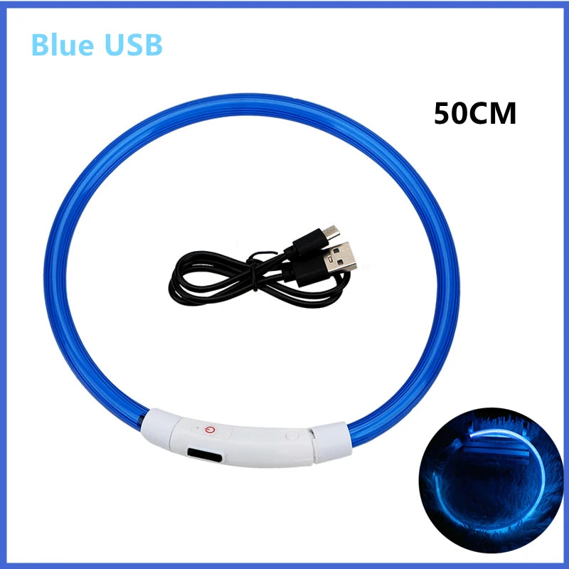 USB Rechargeable LED Safety Collar