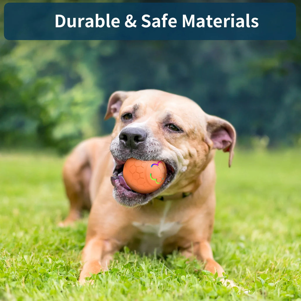 Smart Dog Toy Ball Electronic Interactive Pet Toy Ball USB Automatic Bouncing Rolling Toy Ball With RGB Lights Puppy Cat Product