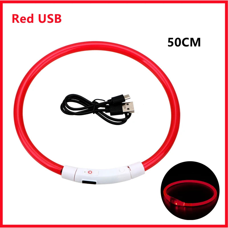 USB Rechargeable LED Safety Collar