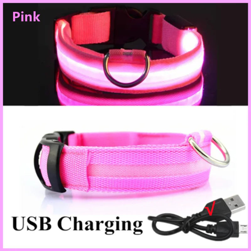USB Rechargeable LED Safety Collar