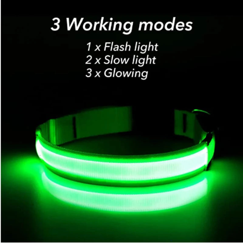 USB Rechargeable LED Safety Collar