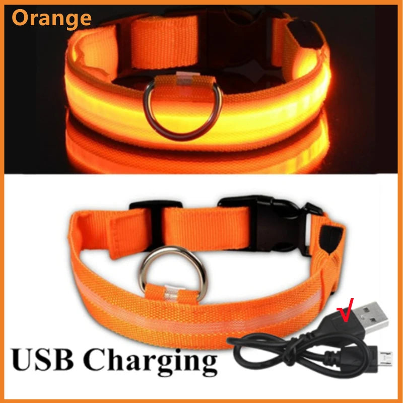 USB Rechargeable LED Safety Collar