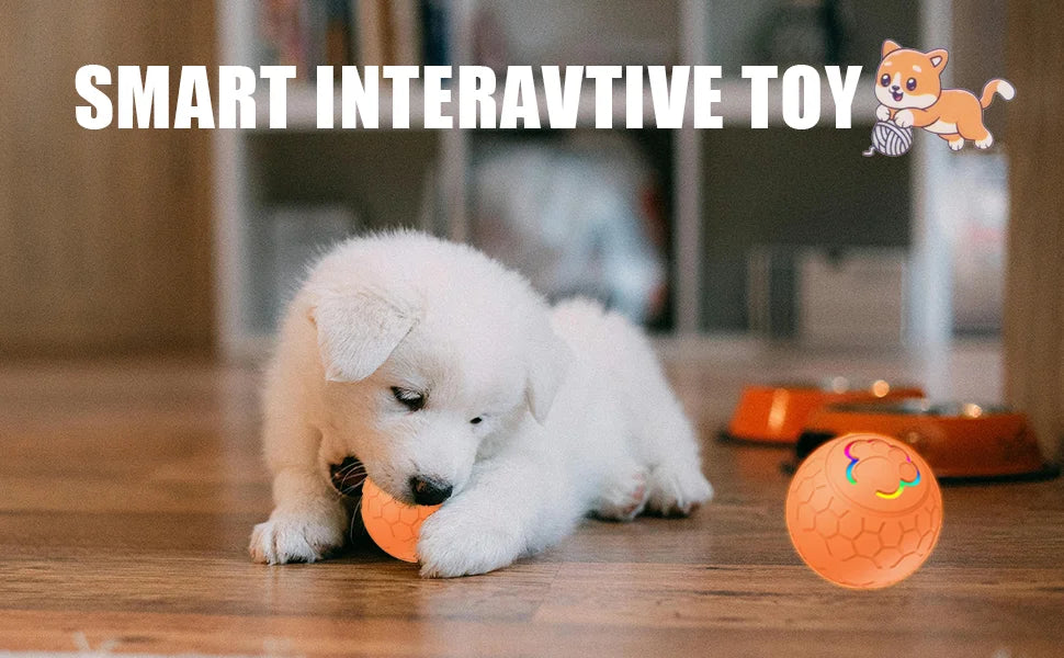 Smart Dog Toy Ball Electronic Interactive Pet Toy Ball USB Automatic Bouncing Rolling Toy Ball With RGB Lights Puppy Cat Product